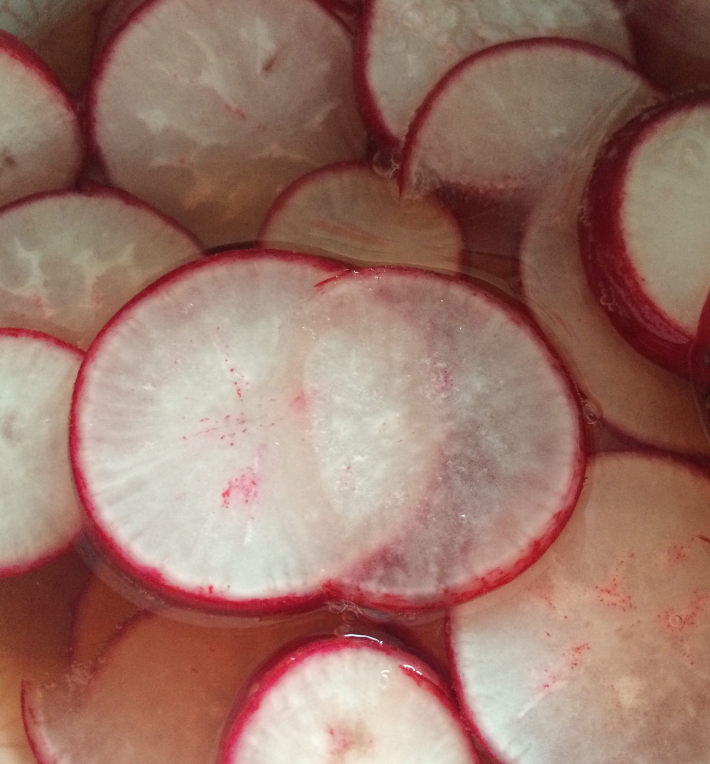 The "Quickle" aka Quick Pickled Radishes What's For Dinner Esq.