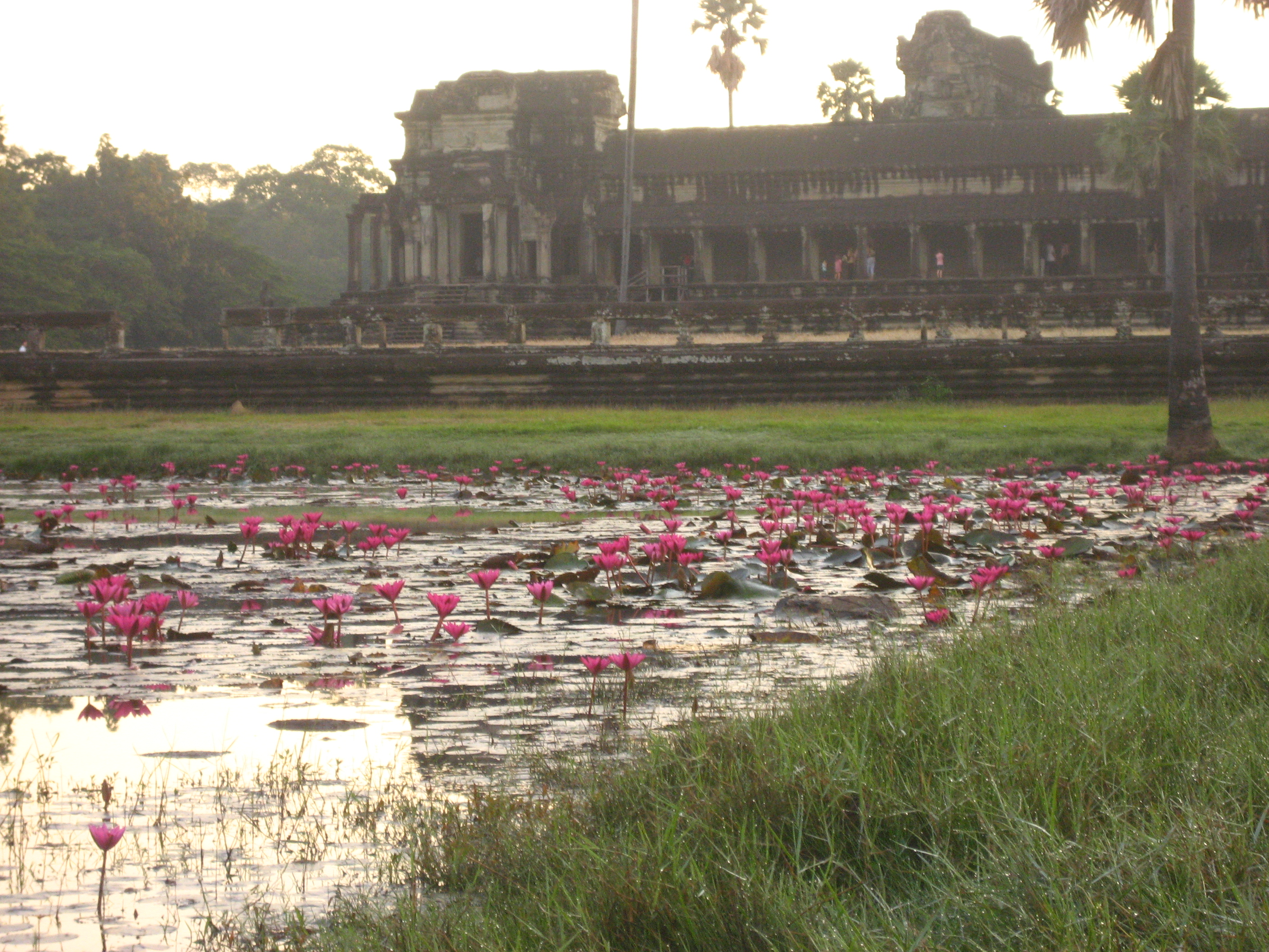 TRAVEL: Siem Reap, Cambodia - TRAVEL: Siem Reap Cambodia by popular New Jersey travel blogger What's For Dinner Esq.